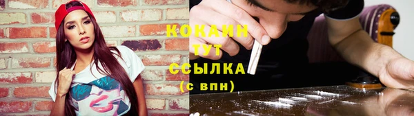 дмт Новозыбков