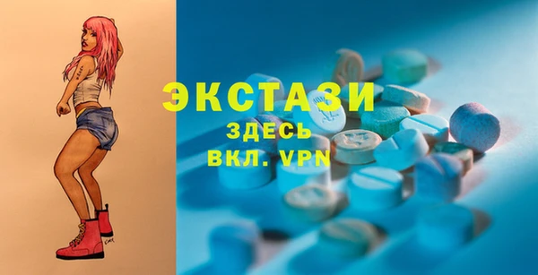 дмт Новозыбков