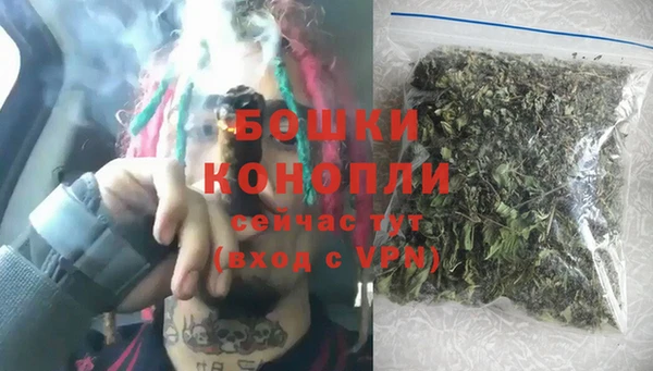 дурь Новодвинск