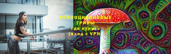 ГАЛЛЮЦИНОГЕННЫЕ ГРИБЫ Бугульма