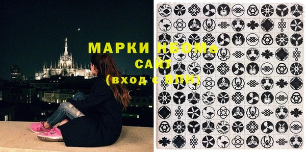 дмт Новозыбков