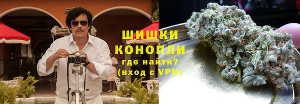 дурь Новодвинск