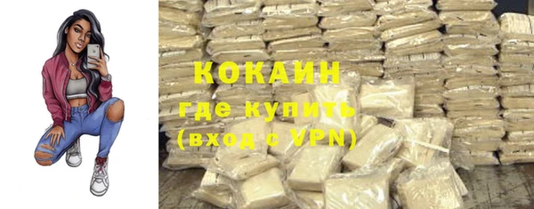 дмт Новозыбков