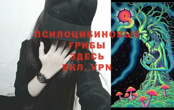 дмт Новозыбков
